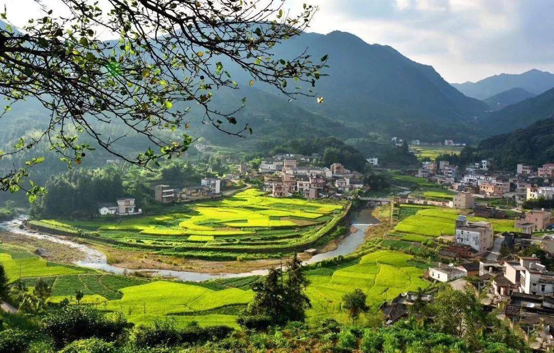 在有着"中国天然氧吧"之称的广东省揭阳市揭西县,大山深处的良田乡