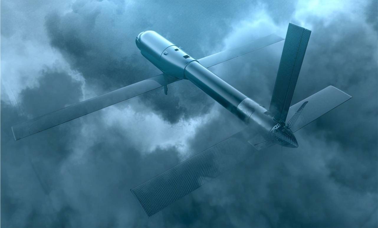 图片:"弹簧刀"600自杀无人机.