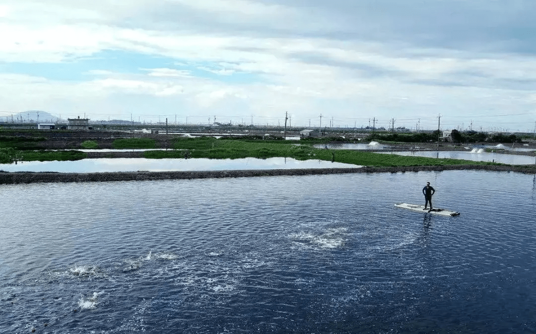 水产养殖想要赚大钱,产量高,重视溶氧必不可少