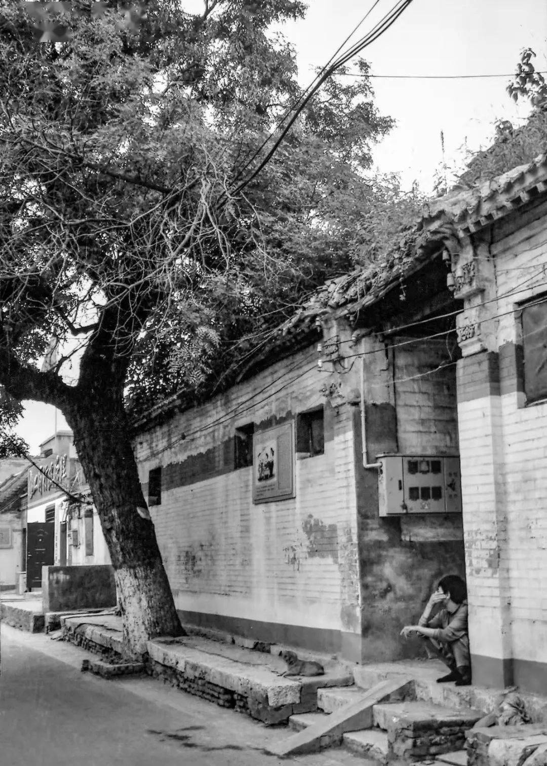 保护整治 继承创新丨安阳老城仓巷街历史文化街区保护整治项目纪实
