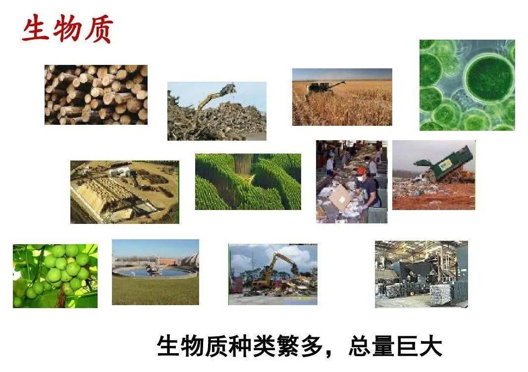 你熟悉又陌生的生物质能