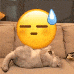 今日份搞笑表情包