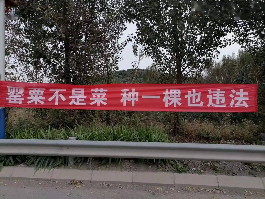 村庄悬挂禁毒宣传标语.  秸秆禁烧