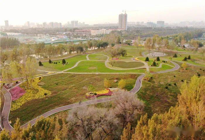 10月18日,漫步在黄河植物园"西榭花语"景区,如同徜徉花之海.