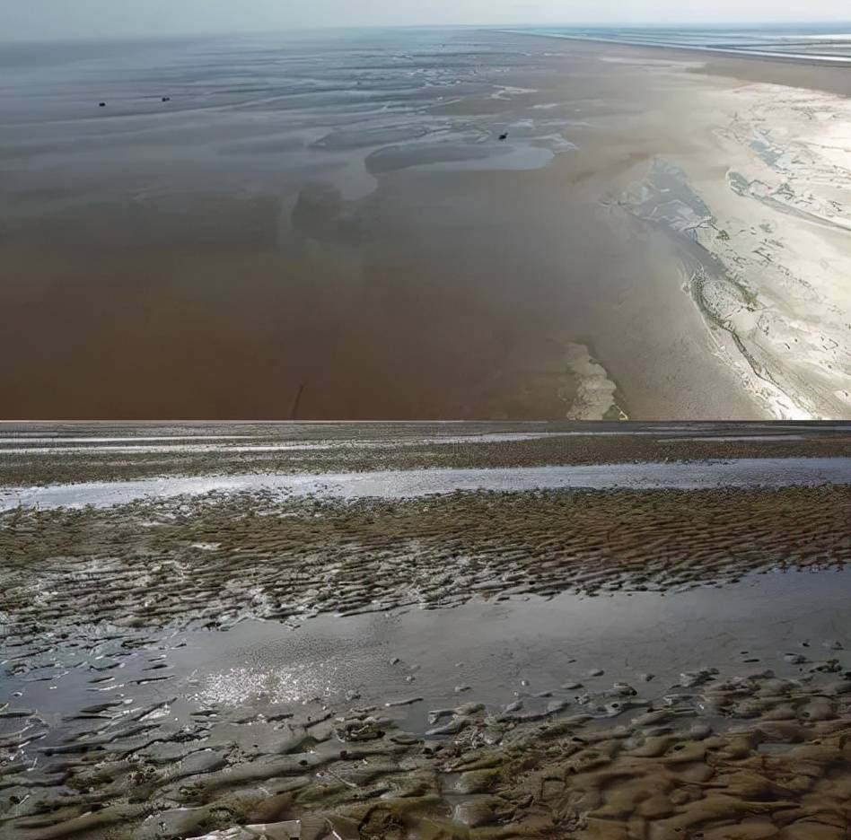 什么是盐碱地,沿海滩涂? 问 内陆盐碱地,沿海滩涂长什么样子呢?