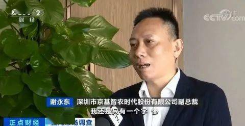 深圳市京基智农时代股份有限公司副总裁谢永东:如果说用一句简单的话