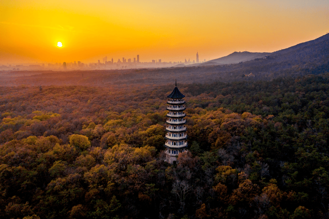 秋日紫金山,给你点颜色看看!_南京