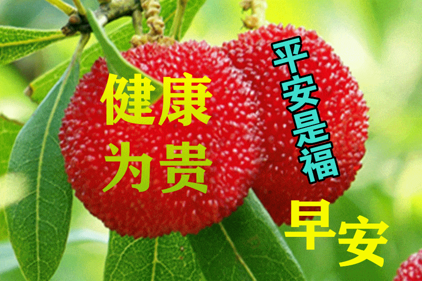 10月28日最漂亮早上好动态表情图片大全秋天早安问候美图大全