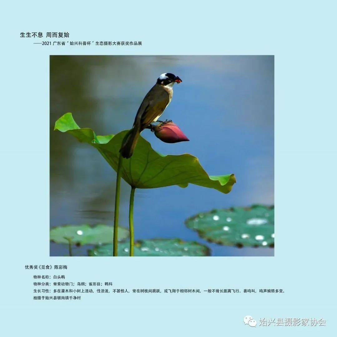 生生不息,周而复始!