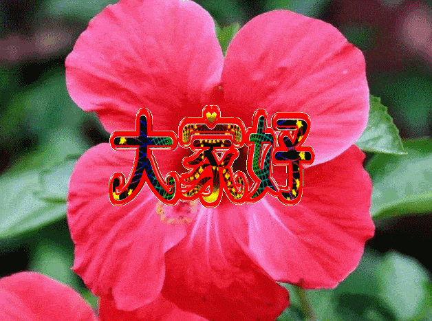 当你有了固定歌单后,你就很少会去听新歌,但假如有一天路过某个小街