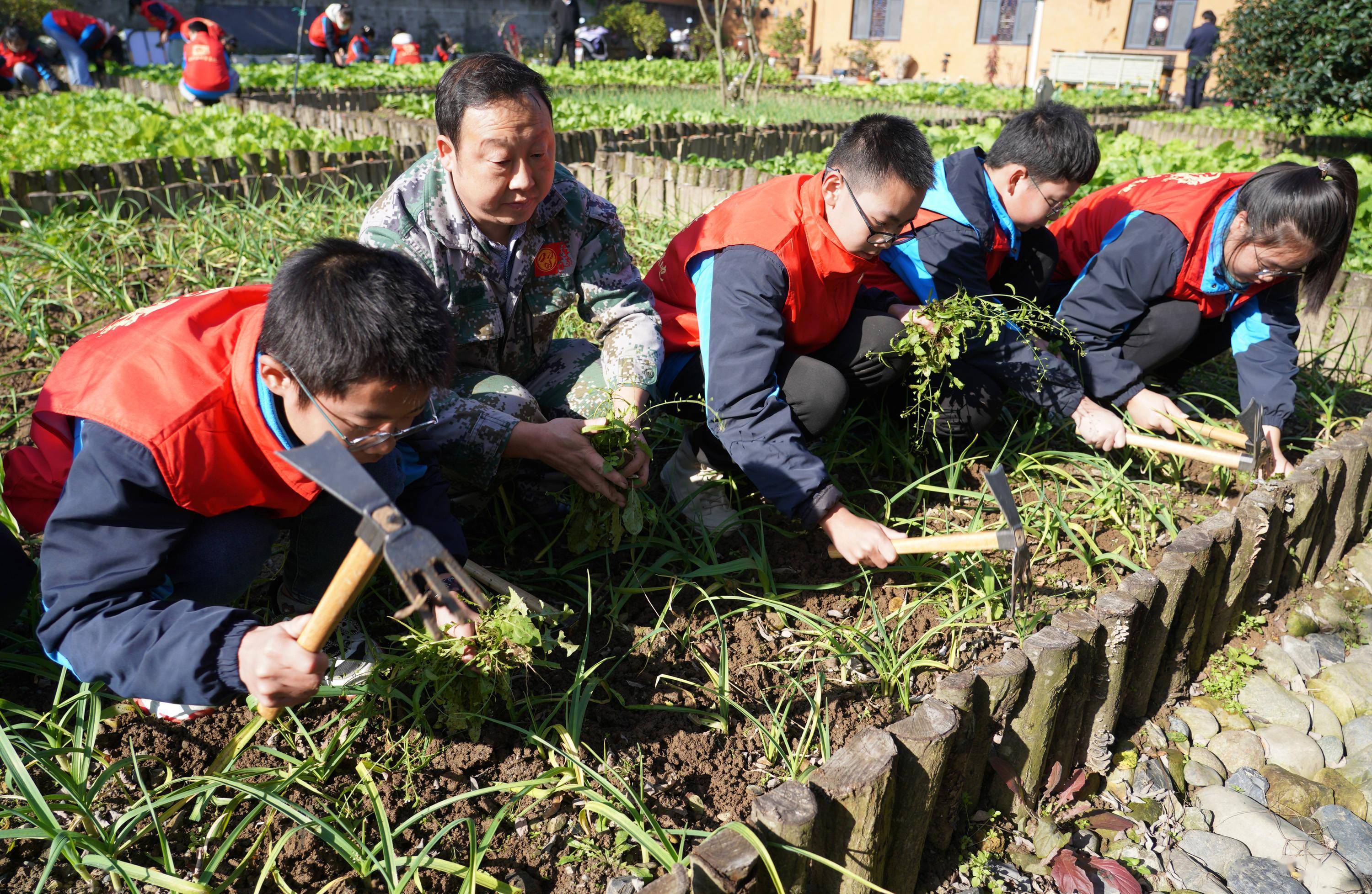 11月10日,在平利县盛丰源现代农业劳动教育研学实践基地内,平利县城关