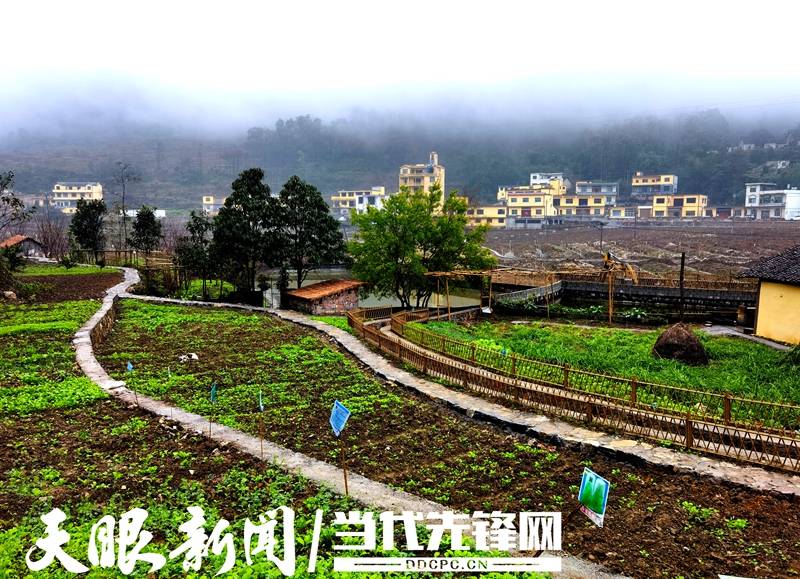 满园草木皆琼瑶 ——册亨县冗渡镇坛坪村推进"四小园"建设初显成效