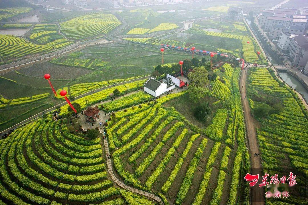 寀卢村共享田园(花园村(横店镇"陌上寻影·共享田园)东阳的美丽