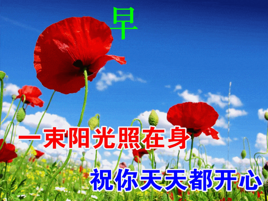 早安馨语亲爱的朋友我想和你说说我的心里话