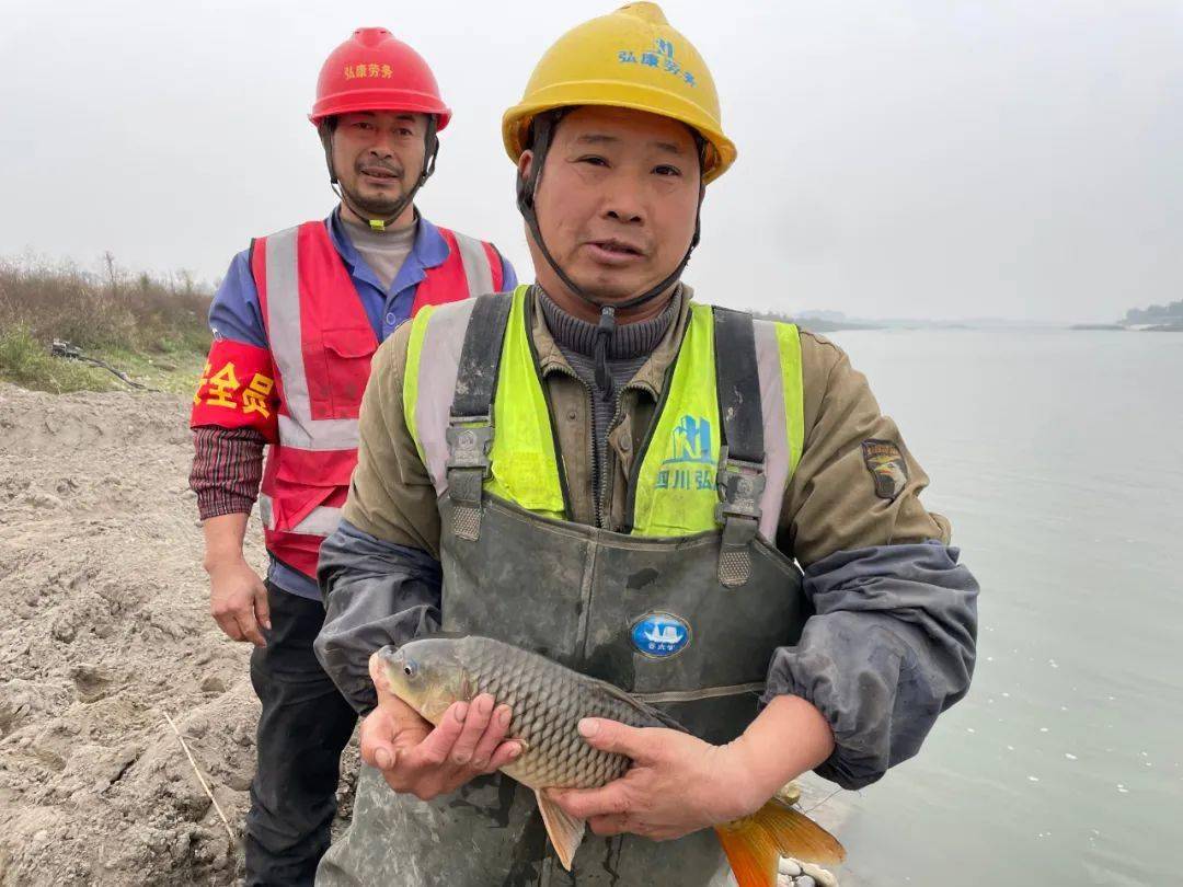 在眉山岷江河逮了上千斤野生河鱼._宋立兵