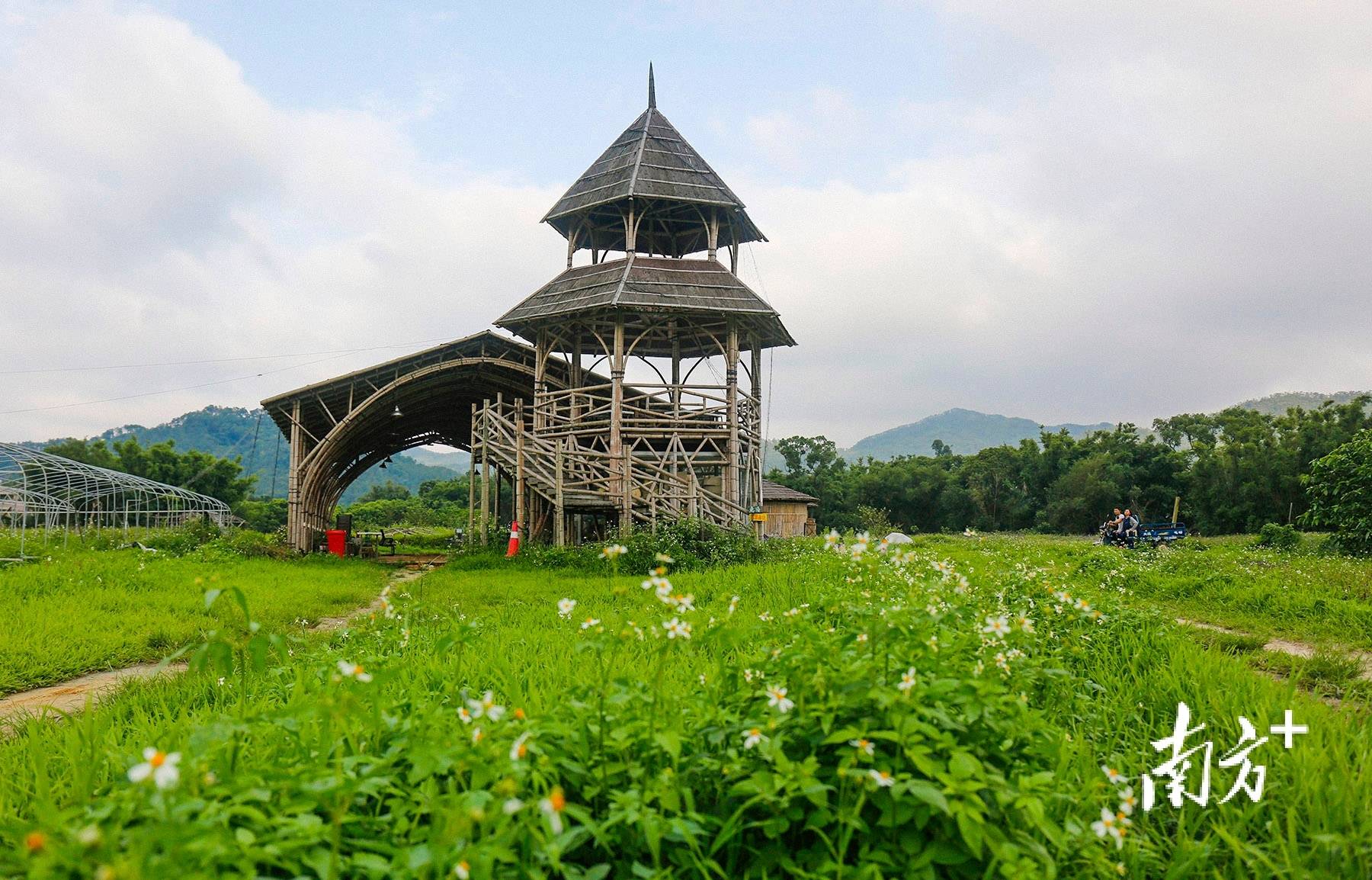 走进美丽乡村美景美食亮点纷呈中山乡村振兴进行时