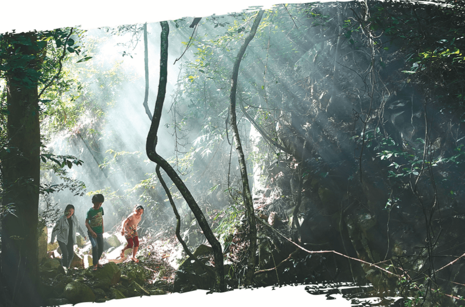 "该电影在中国正式设立海南热带雨林国家公园等第一批国家公园之际