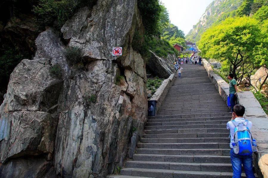 美文丨重阳时节登泰山_登山_石阶_台阶