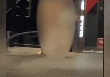 到健身房台湾一名大妈让小编忍不住想洗洗眼睛最近就有一篇那还真的多