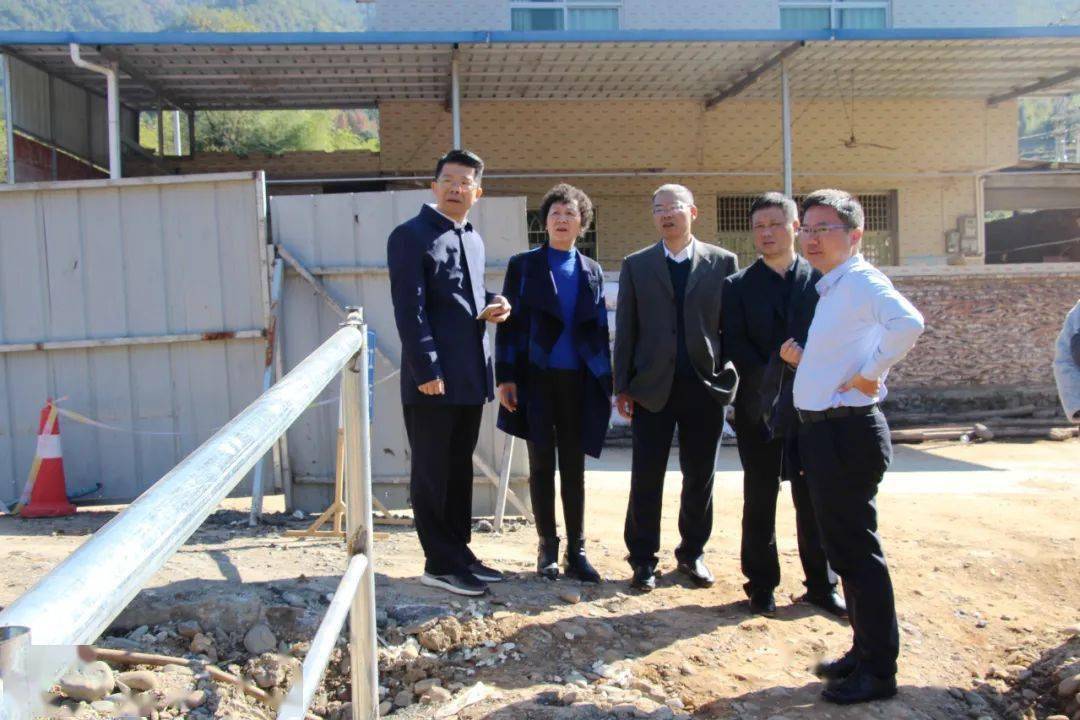 省人大常委会研究室主任王向前到我县调研
