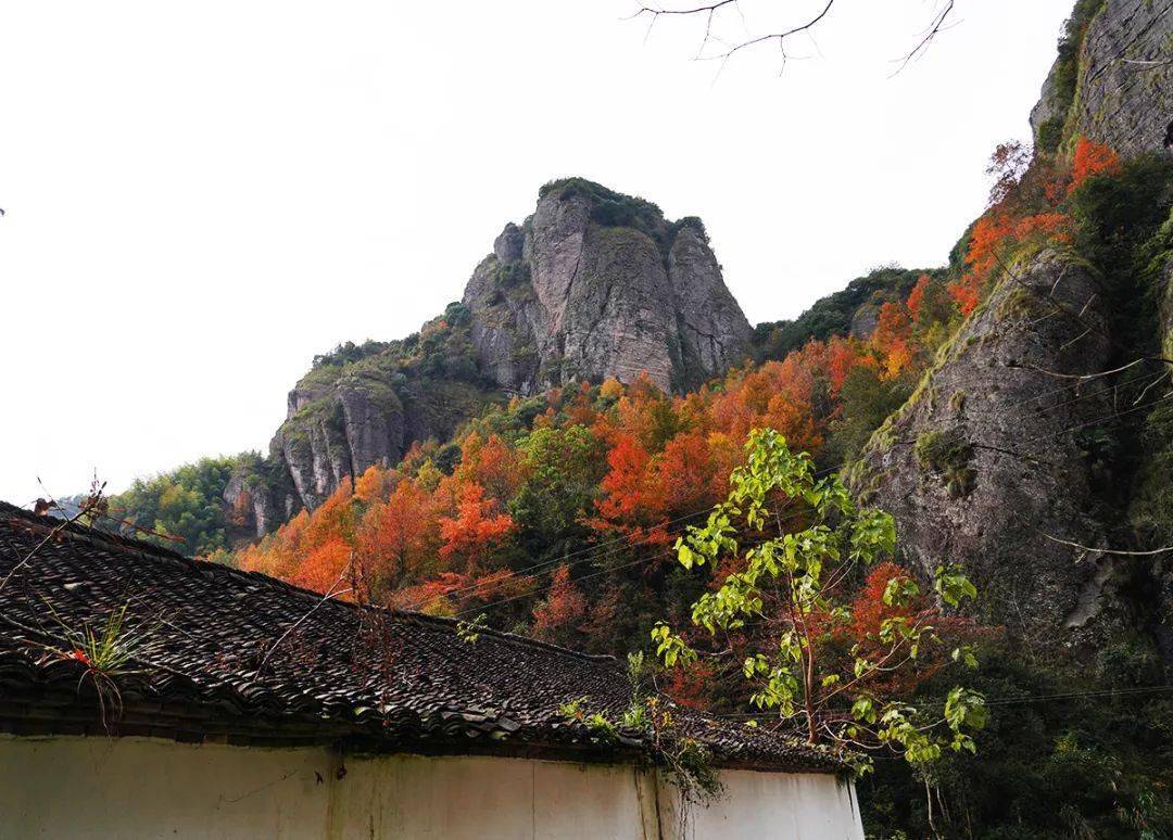 缙云岩门"枫"景如画!