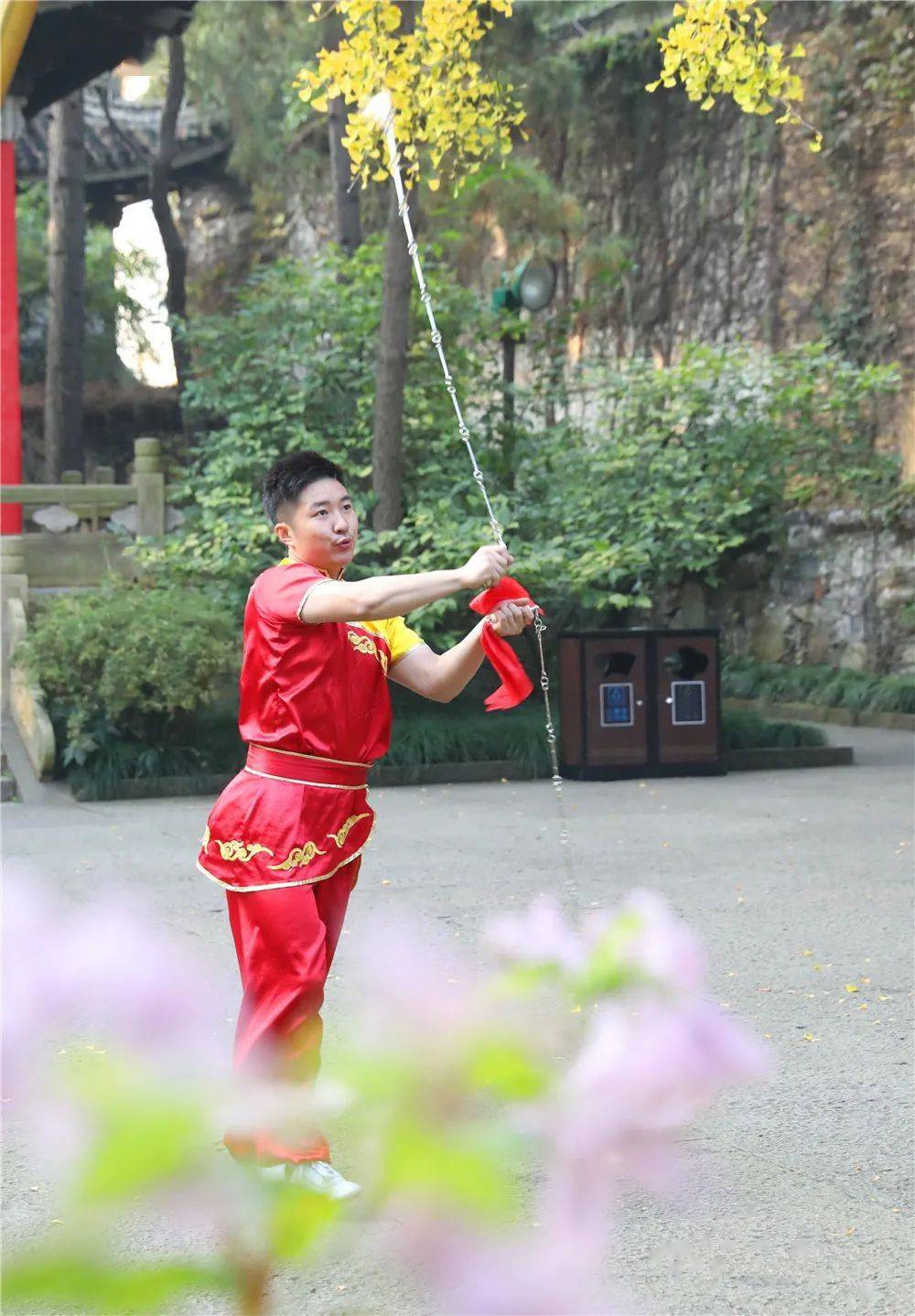 九节鞭 无锡锡惠公园惠山寺古银杏"抡起似车轮,舞起似钢棍 收回一团