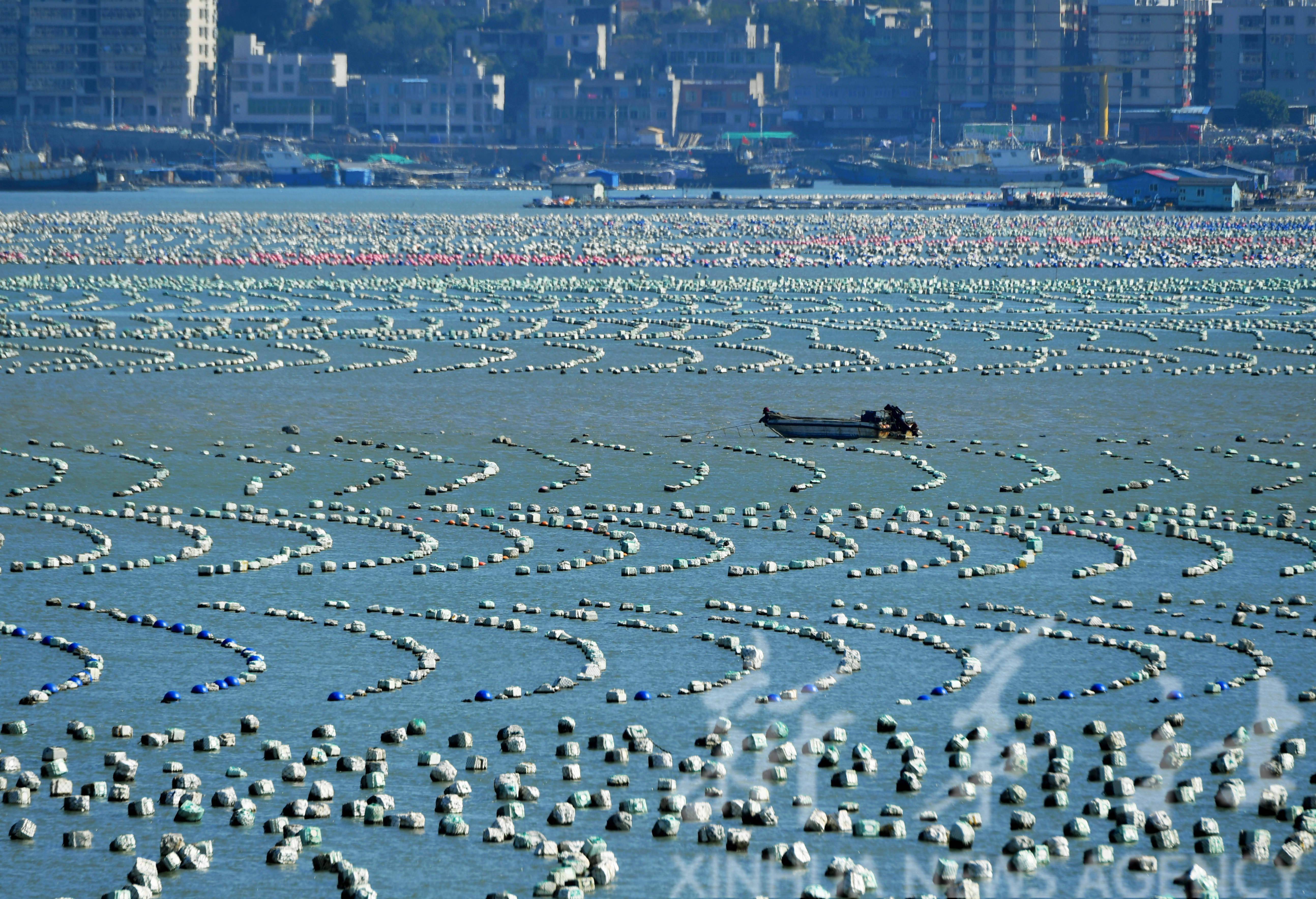 福建连江冬季海上牧场渔耕图