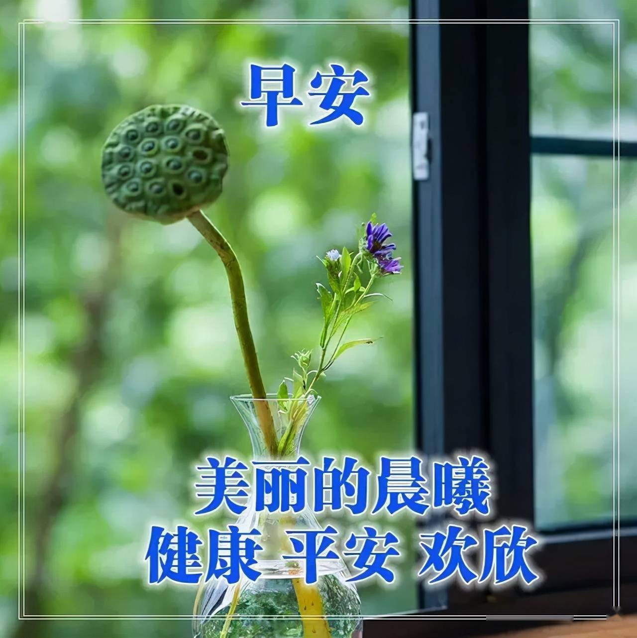 10,晨曦的阳光淌进窗户,给你送出我的祝福.