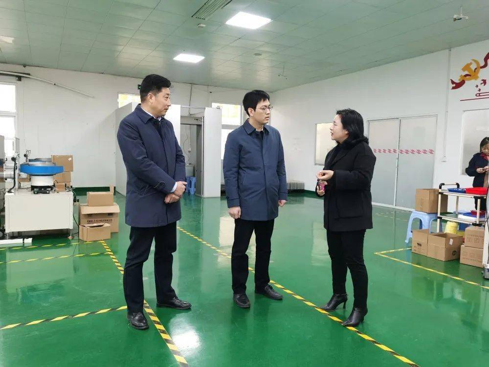 市政府领导调研居巢经开区园区企业