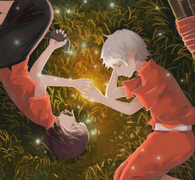 《大鱼海棠2》变成双男主,湫重生后邂逅美少年,椿成了