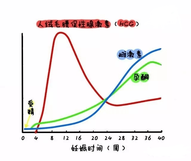 产后体内激素水平的变化治疗与处理:妊娠期高血压疾病治疗目的是预防