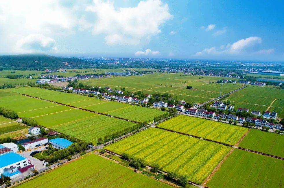新型农村集体经济发展典型案例 宜兴市芳桥街道金兰村 农字下笔谋
