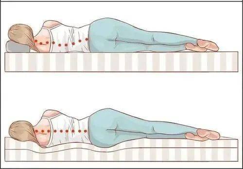 能保持脊柱正常的生理前凸;侧位睡觉时,能保持脊柱不侧弯