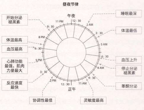 跟着生物钟整理你的睡眠