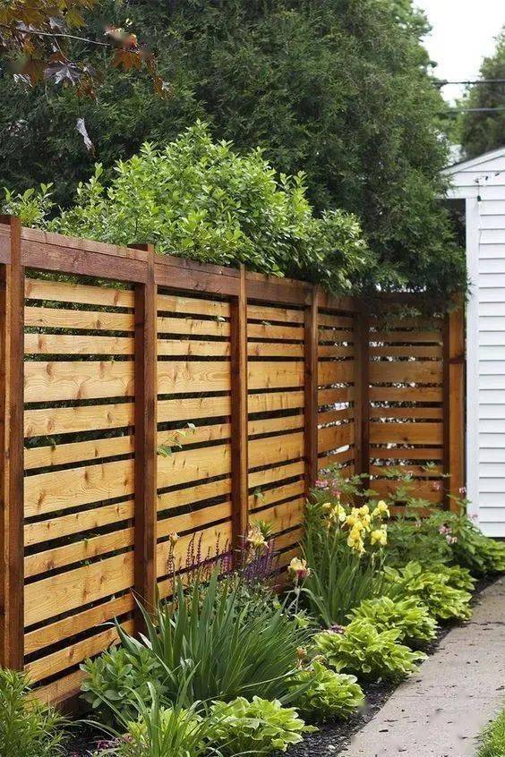 整体植物墙如果不想自己的院子跟外界或者邻居交界的地方显得太过生硬