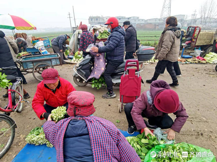 坐地铁到滩头村赶大集绿色出行体验生活乐趣