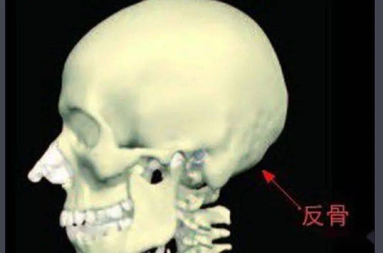 二,"天生反骨"的性格特质1,反骨并不天生在大慧看来,很多性格或者
