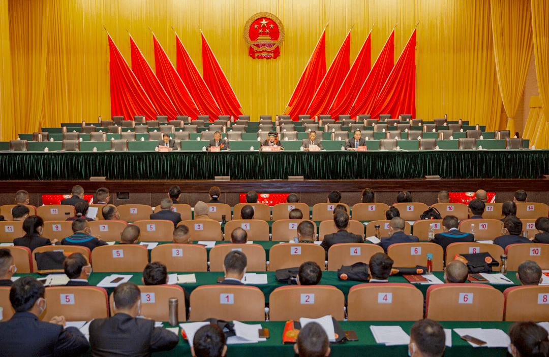 西昌市第十一届人民代表大会第一次会议举行预备会议_大会主席团_建议