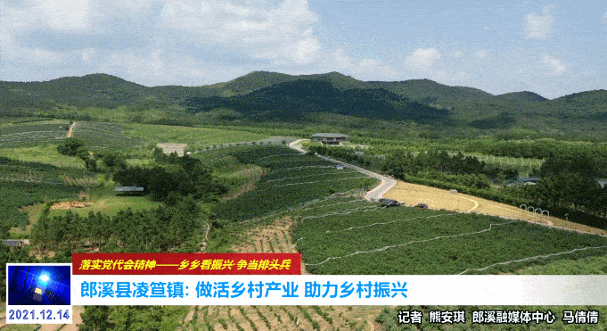 大力发展乡村旅游业,不断增加农民收入,助力乡村振兴