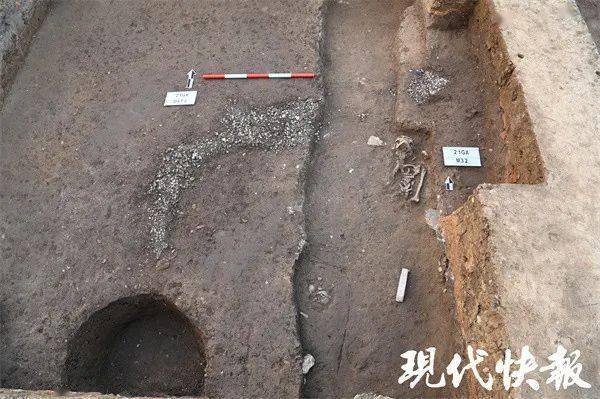 南京薛城遗址发现"江南第一龙"_高淳_考古_墓葬