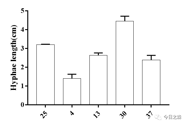 graphpad绘图手册柱状图双y轴y轴显著性差异分析abcd字母标记详解剖析