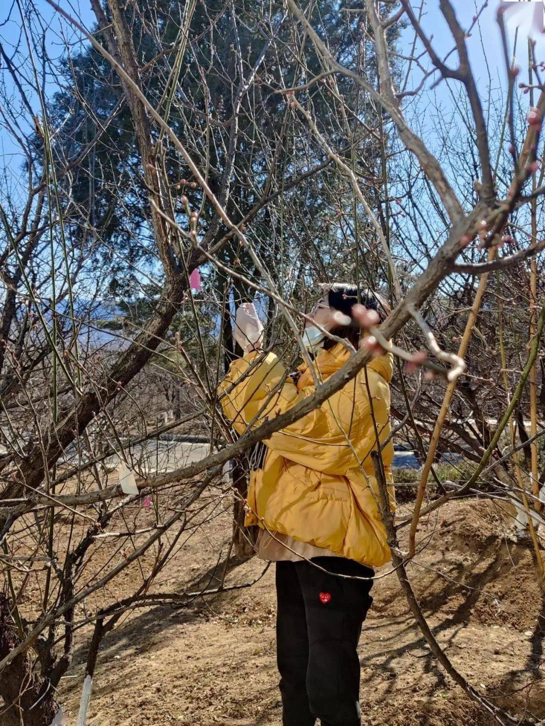 学霸说丨国奖获得者蒙娟:你有多努力,就有多幸运_实验_研究生_博士