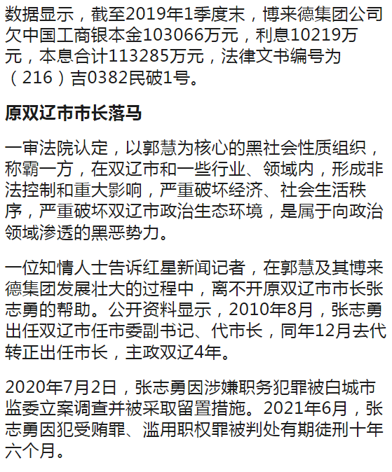 吉林省一知名企业家领导黑社会性质组织从汽车修理工到人大代表