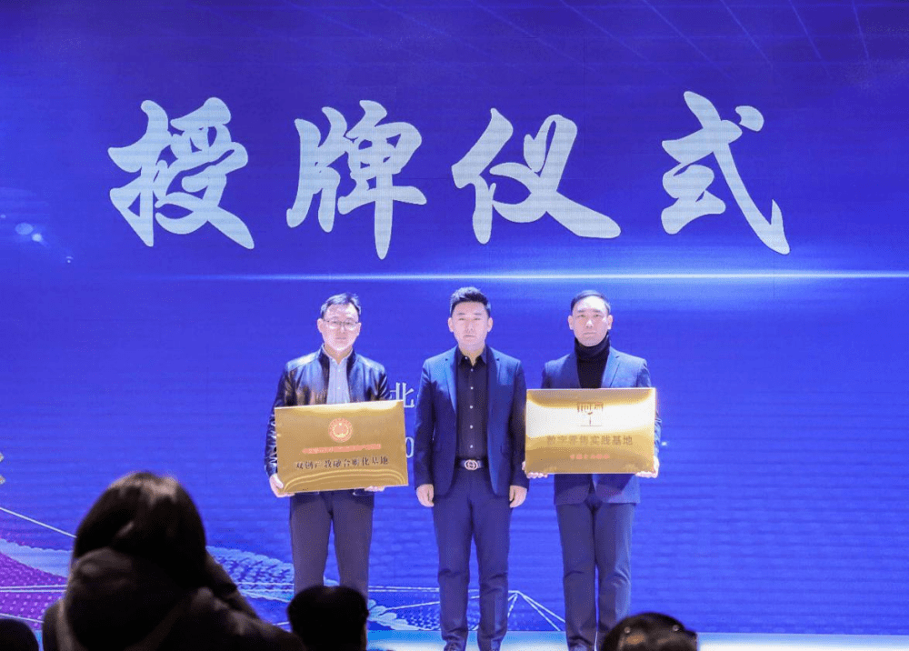 活动中,中国孵化产业智库主任赵殿良为河北传媒学院"双创产教融合孵化