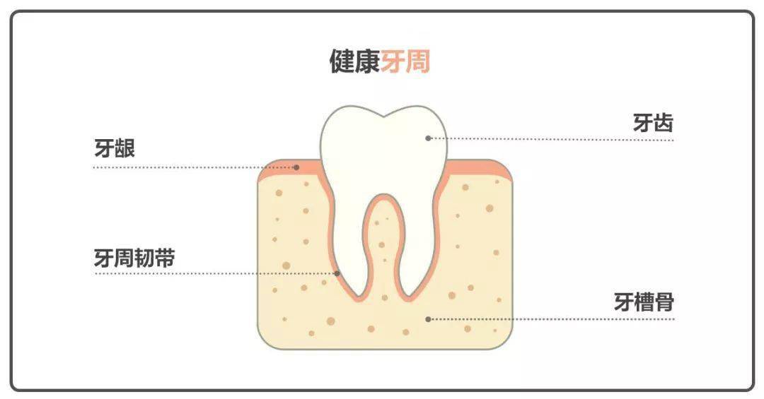 牙龈长脓包危险停止自己刺破