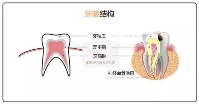 牙龈长脓包危险停止自己刺破