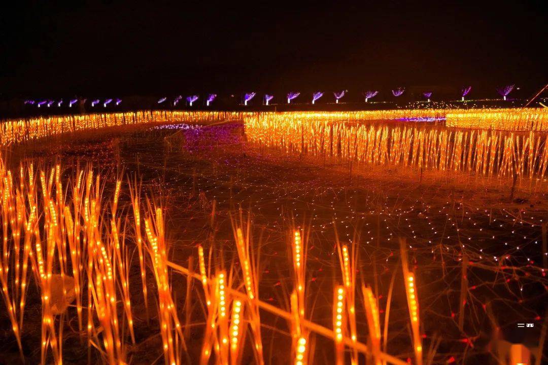 稻田奇妙夜赴时空旅行三亚水稻国家公园夜场灯展璀璨启幕