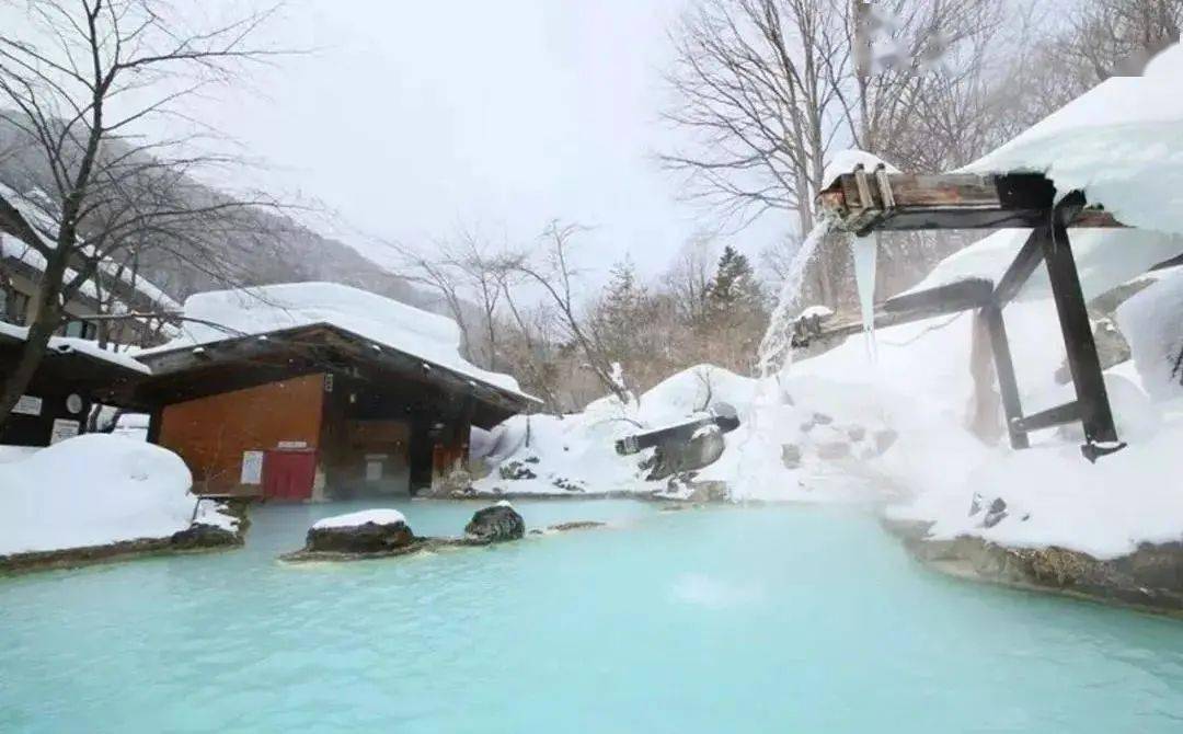 边赏雪边泡汤,这次不能输给猴子了!_温泉_露天_秘汤