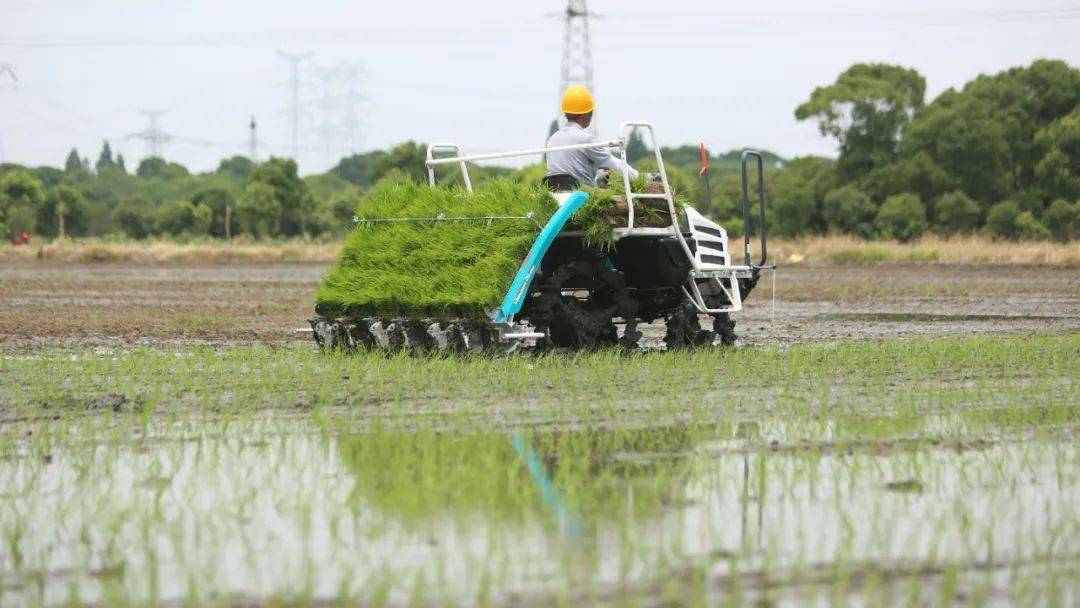 久保田农机发布2022款产品信息_种植户_插秧机_用户