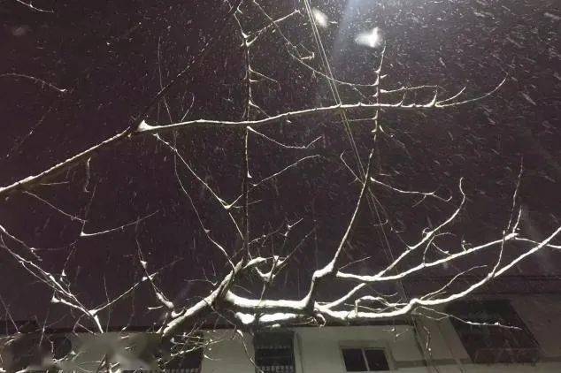 未来一周雪雨天气来袭利辛接下来